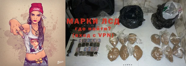 хмурый Абаза
