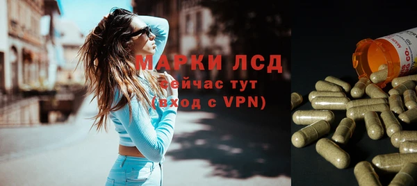 хмурый Абаза