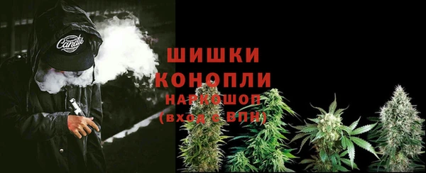 хмурый Абаза