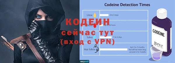 хмурый Абаза