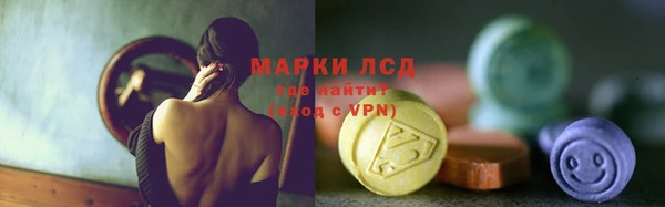 хмурый Абаза