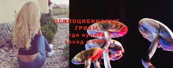 хмурый Абаза