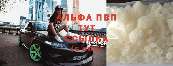 хмурый Абаза