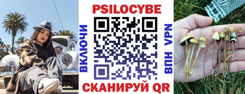 Псилоцибиновые грибы прущие грибы Циолковский